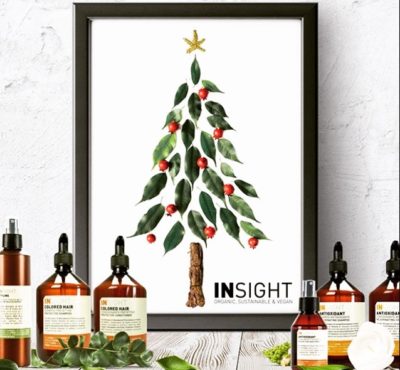 insight professional christmas products